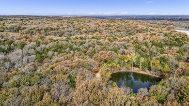 387 Immigrant Trail Rd, Denison, TX 75021 - photo 5