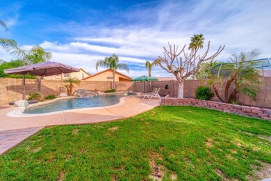 Backyard Pool area2