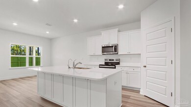 3539 Fallschase Blvd, Bellview, FL 32526 - photo 5