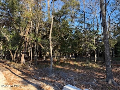 116 Stones Throw, Wilmington, NC 28411 - photo 7