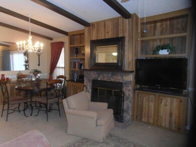 Wood burning fireplace