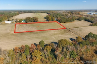 Lot 3 Barnesville Church Rd, Orrum, NC 28369 - photo 3