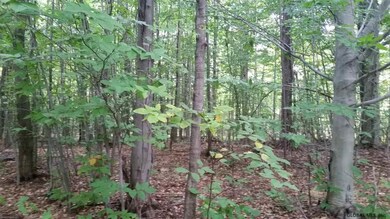 54 Lincoln Mountain Rd, Greenfield Center, NY 12833 - photo 3