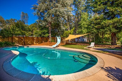 81 Pool