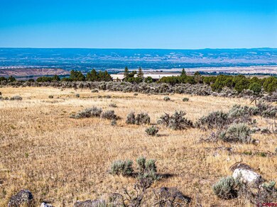 TBD Cedar Mesa, Cedaredge, CO 81413 - photo 5