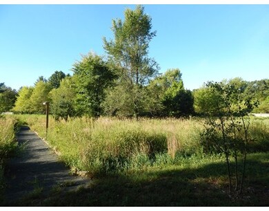 45 Plumtree Rd, Sunderland, MA 01375 - photo 3