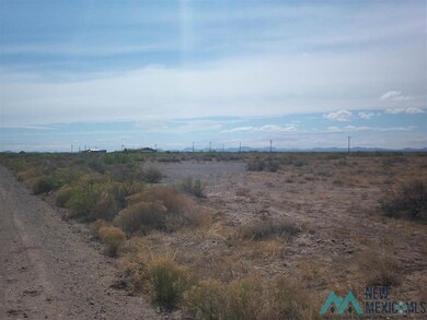 xx Sundown Rd SE, Deming, NM 88030 - photo 4