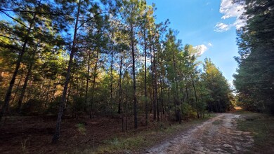 0 Deerwood & Brentwood unit 139029, Fitzgerald, GA 31750 - photo 3