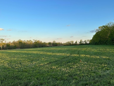 Field