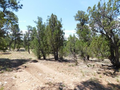 1919 Elk Rd2 (2)