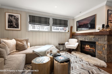 835 E Hyman Ave unit D, Aspen, CO 81611 - photo 7