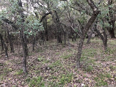 26058 Dull Knife Trail, San Antonio, TX 78255 - photo 2