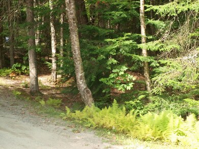 000 Partridge Lake Rd, Littleton, NH 03561 - photo 7