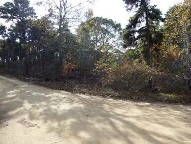 0 Bittersweet Ln, Edgartown, MA 02539 - photo 3