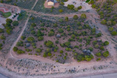 833 S Panorama Dr, Cedar City, UT 84720 - photo 2