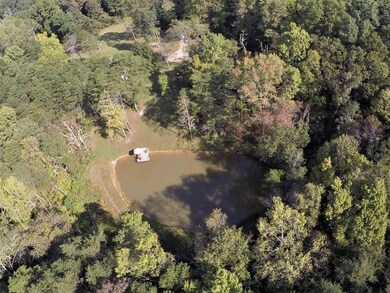 Pond & Yard Aerial