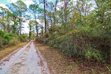 0 Honor Dr unit 315967, Crawfordville, FL 32327 - photo 3