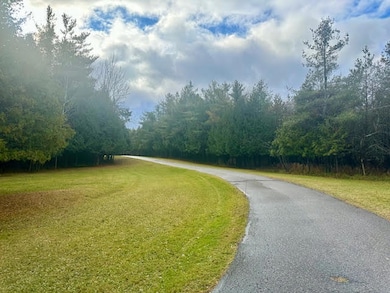 996 Lahaie Rd, Cheboygan, MI 49721 - photo 2