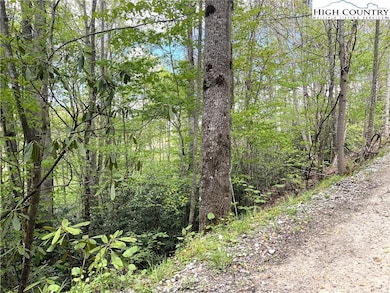 117 Deergrass Rd, Beech Mountain, NC 28604 - photo 3