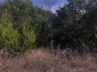 33035 Woodcrest Dr, Whitney, TX 76692 - photo 7