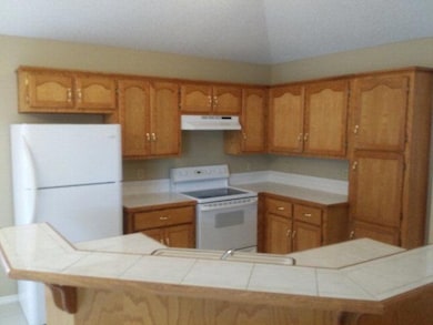 524 Shea Dr, Alamo, TX 78516 - photo 6