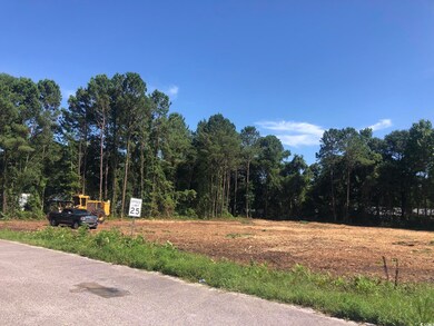 TBD Highway 17 Business, Murrells Inlet, SC 29576 - photo 6