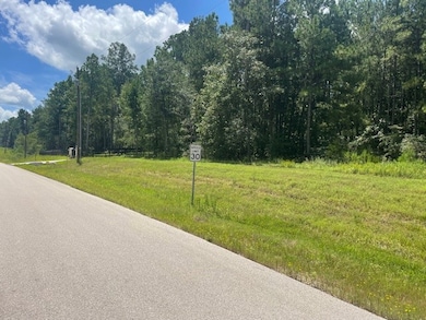 717 Lonestar Rd, Huntsville, TX 77340 - photo 6