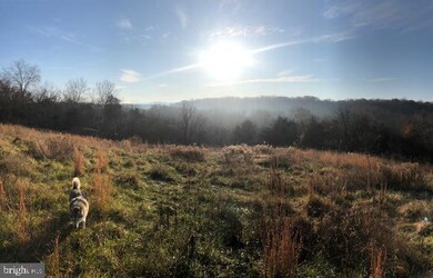 0 Taylors Landing Rd, Sharpsburg, MD 21782 - photo 2