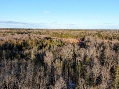 DJI_0252