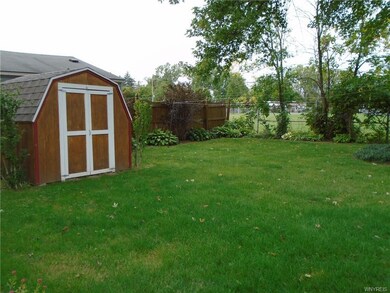 Shed