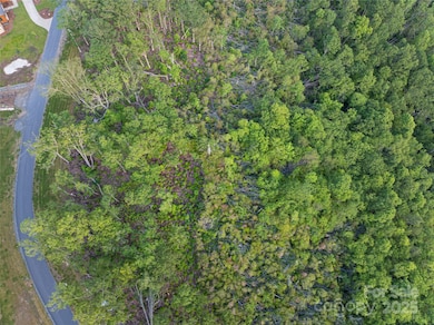 000 E Garden Trail unit 47, Fletcher, NC 28732 - photo 4