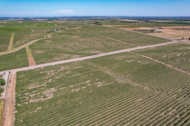 32358 County Road 19, Woodland, CA 95695 - photo 2