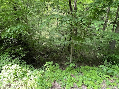 0 Clay Lick Rd unit RTC3047881, Whites Creek, TN 37189 - photo 2