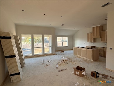 2564 Cowgirl Trail, Belton, TX 76513 - photo 3