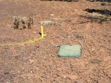 240 Cedar Breaks Ave unit 289, Show Low, AZ 85901 - photo 4