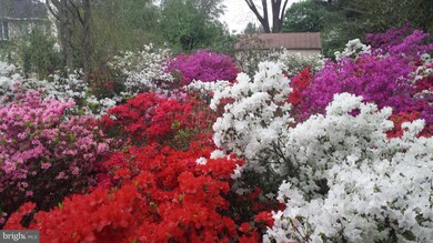 7708 Barnum Rd, Bethesda, MD 20817 - photo 2