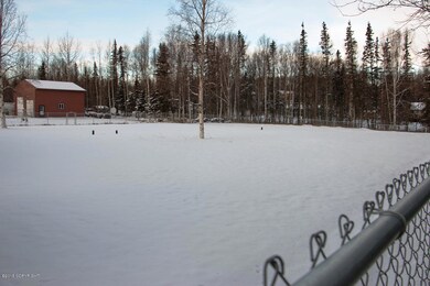 IMG_5981