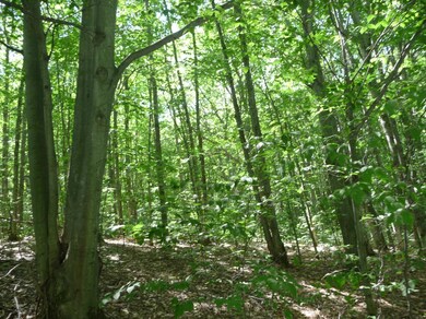 12.38 Acres