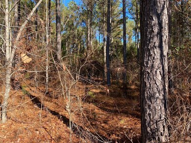 Lot 111 Dock Side Ln, Lincolnton, GA 30817 - photo 2