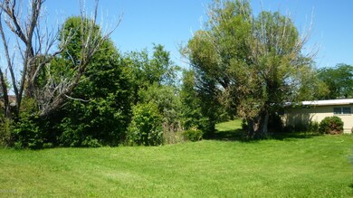 Mature Landscaping