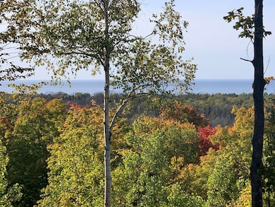 Lot 21 Daisy Patch Rd, Gibraltar, WI 54212 - photo 4