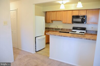 203 Victor Pkwy unit 2F, Annapolis, MD 21403 - photo 6