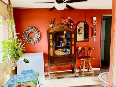 22 Mott St, New Madrid, MO 63869 - photo 7