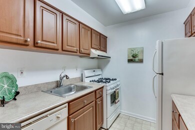 5827 Cove Landing Rd unit 201, Burke, VA 22015 - photo 4
