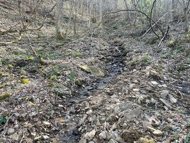 Lot 4 Copperhead Cove Rd, Sylva, NC 28779 - photo 6