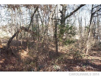 Land - Lower lot