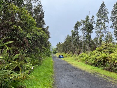 Looking up Lahaina Rd. Nature surrounds