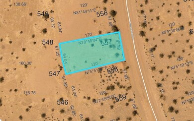 Cam Del Saguaro, Dateland, AZ 85333 - photo 6