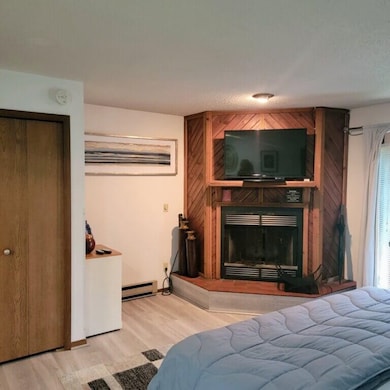 1093 Canyon Rd unit 303, Wisconsin Dells, WI 53965 - photo 6