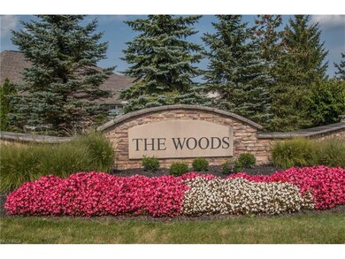 Welcome to the Woods of Glencairn